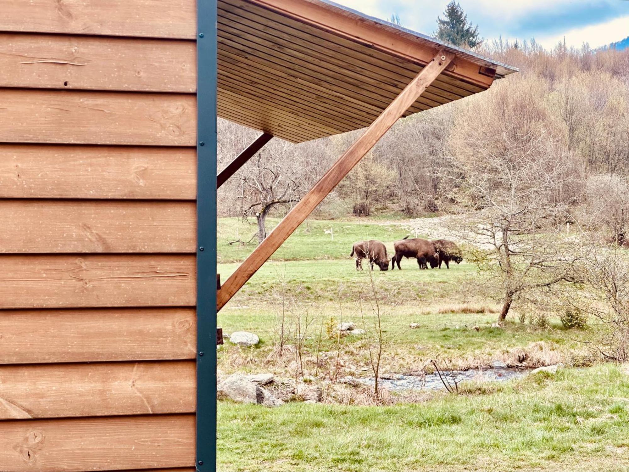 Tiny Home Dejani Bagian luar foto