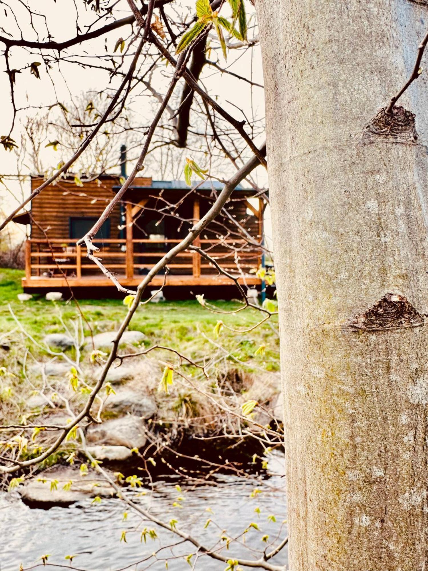 Tiny Home Dejani Bagian luar foto
